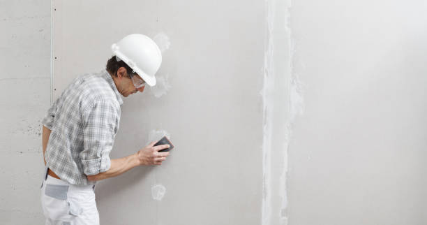 Best Repainting for Renovations  in Searles Valley, CA